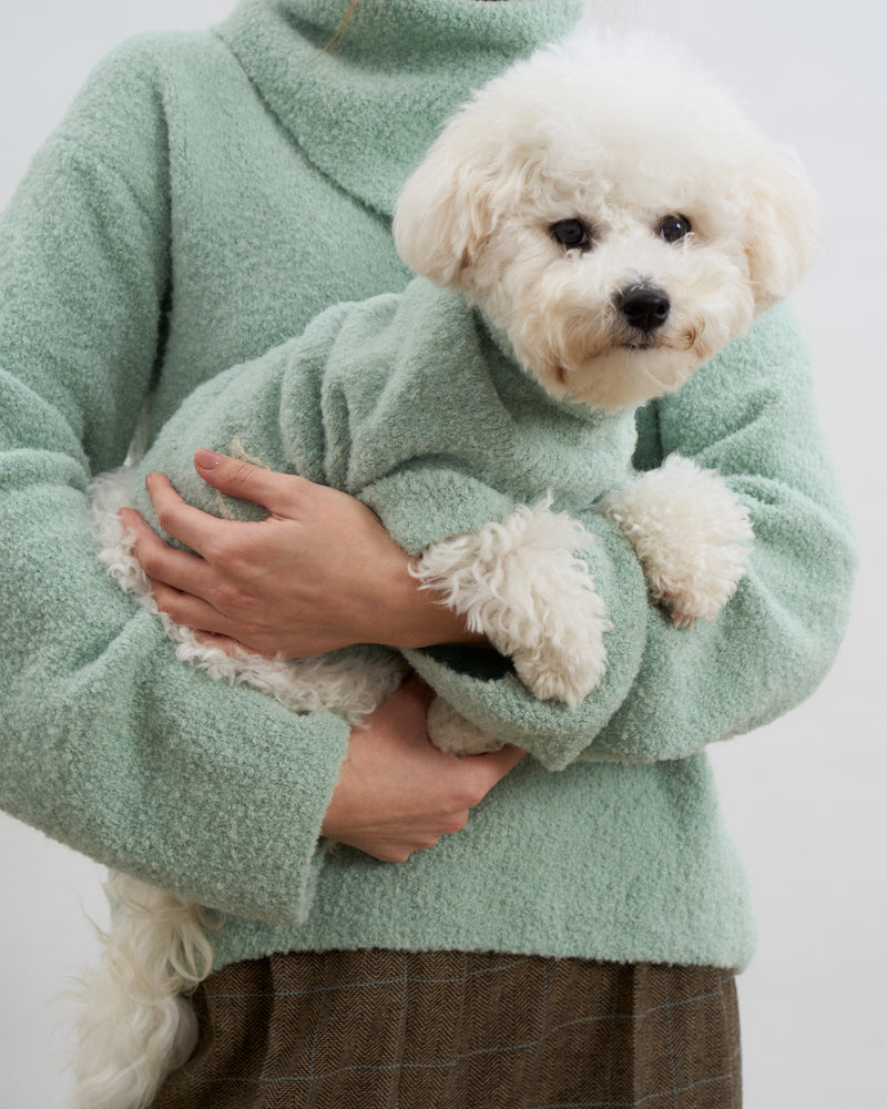 Baby Alpaca-Merino Wool Blend Dog Sweater - Mint