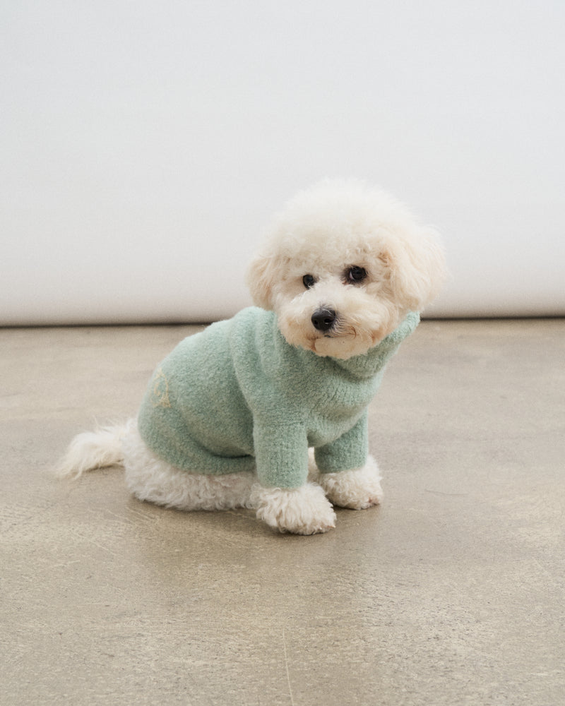 Baby Alpaca-Merino Wool Blend Dog Sweater - Mint