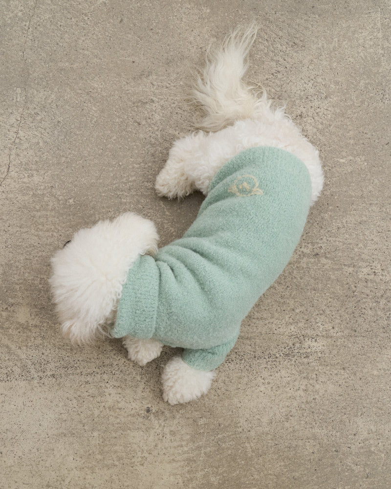 Baby Alpaca-Merino Wool Blend Dog Sweater - Mint