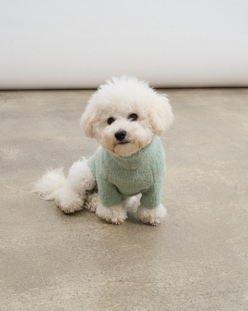 Baby Alpaca-Merino Wool Blend Dog Sweater - Mint