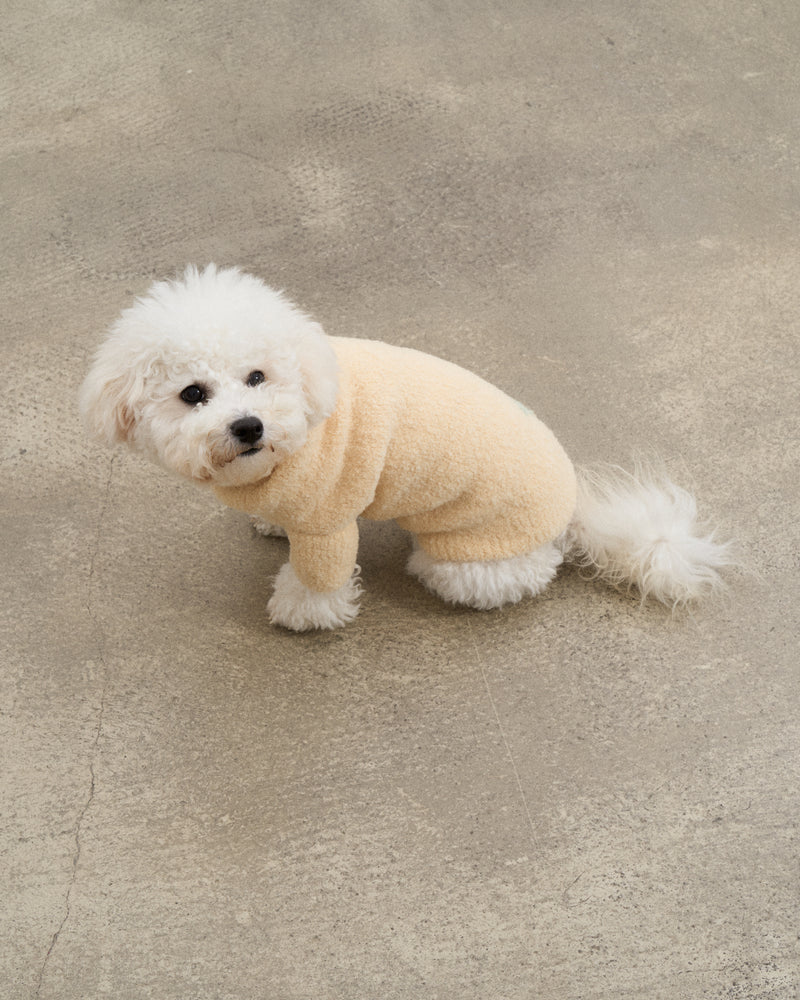 Baby Alpaca-Merino Wool Blend Dog Sweater - Butter Yellow