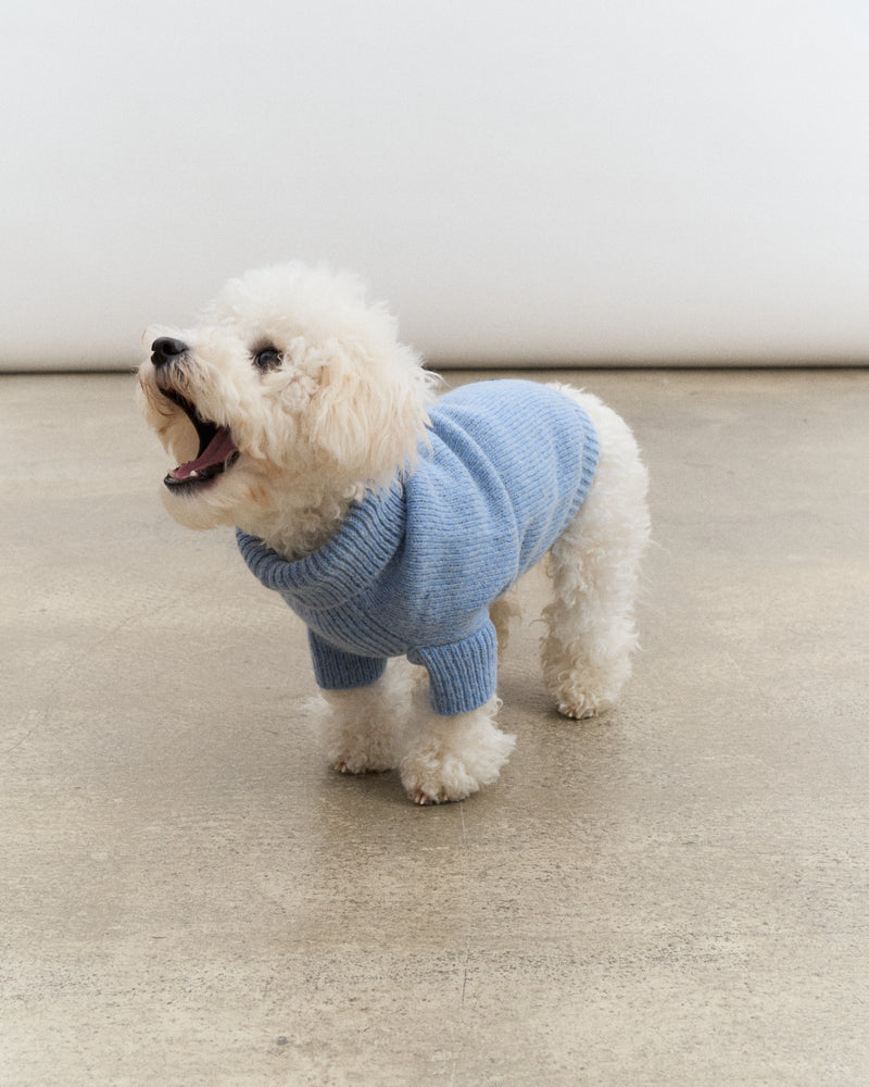 Merino Wool Dog Sweater - Blue