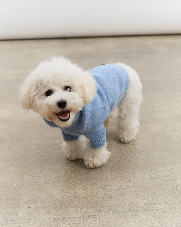 Merino Wool Dog Sweater - Blue