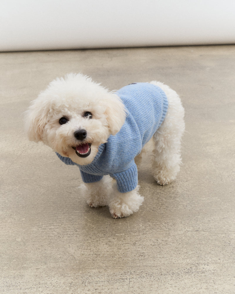 Merino Wool Dog Sweater - Blue